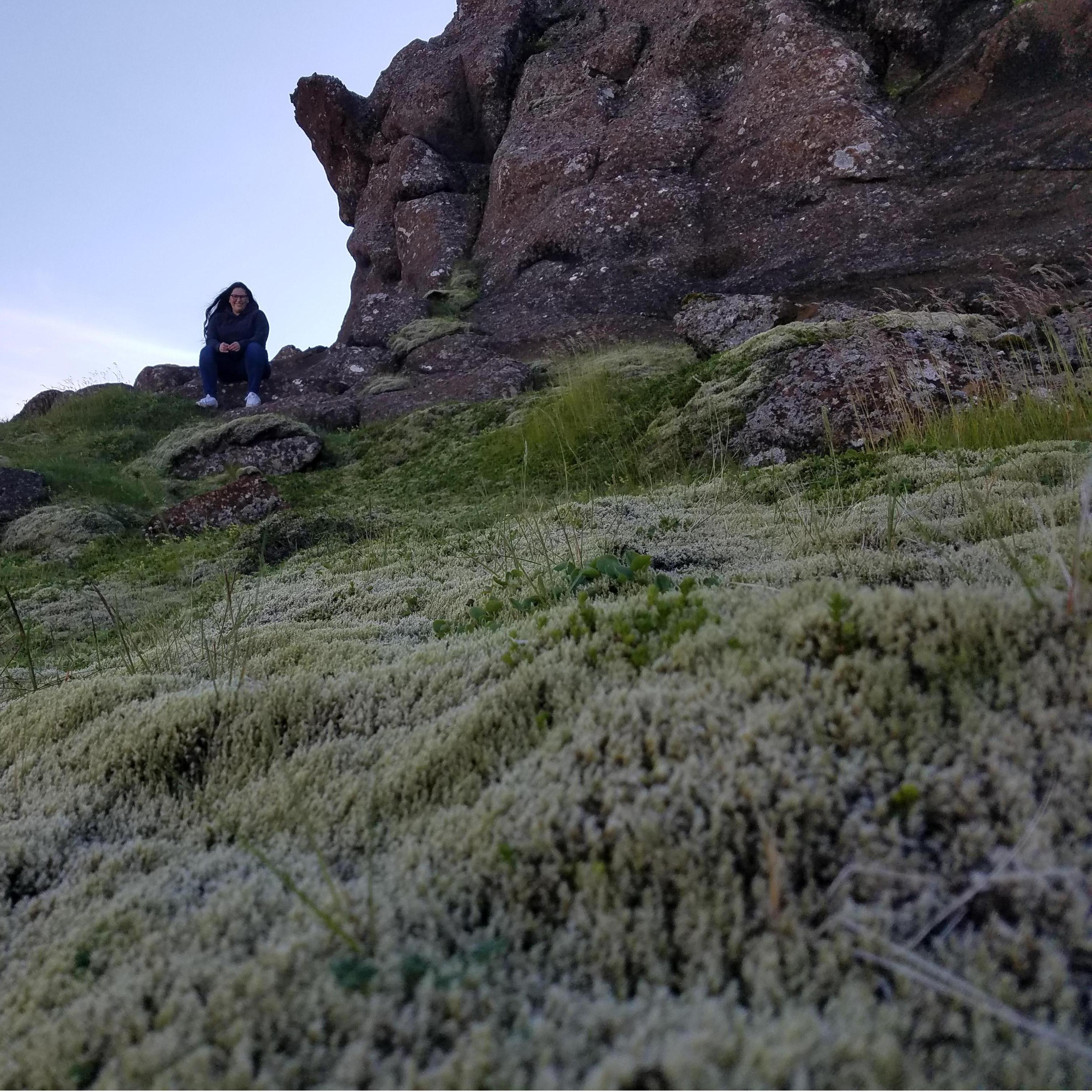 Moss lands of Iceland