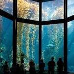 Monterey Bay Aquarium