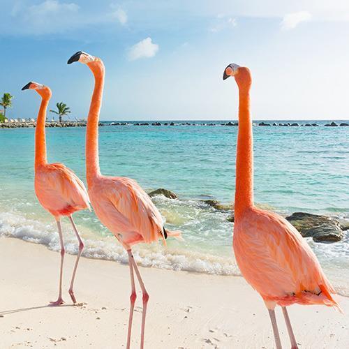 The Wedding Website of Matthew Webster and Jamila Crooke