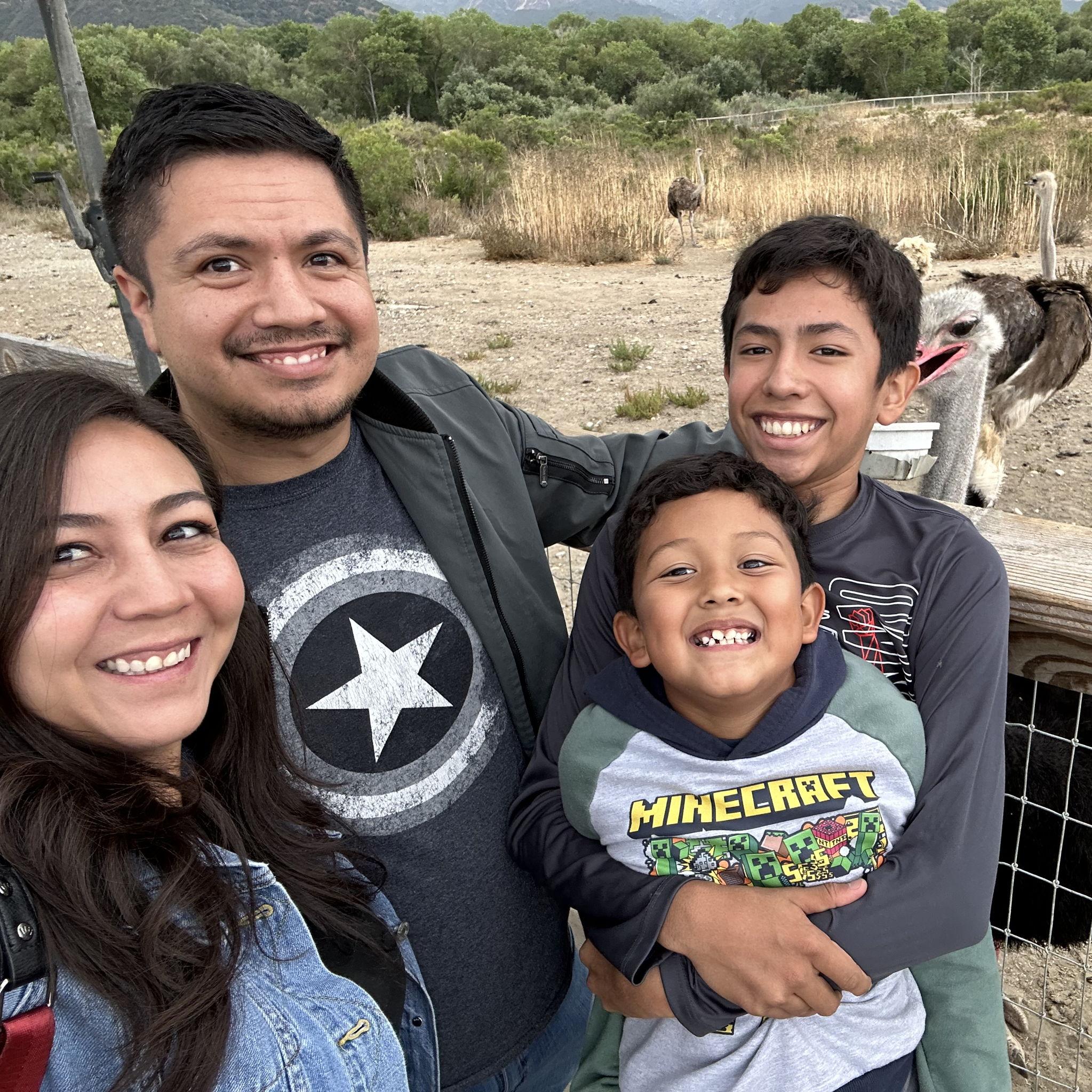 Ostrich Farm