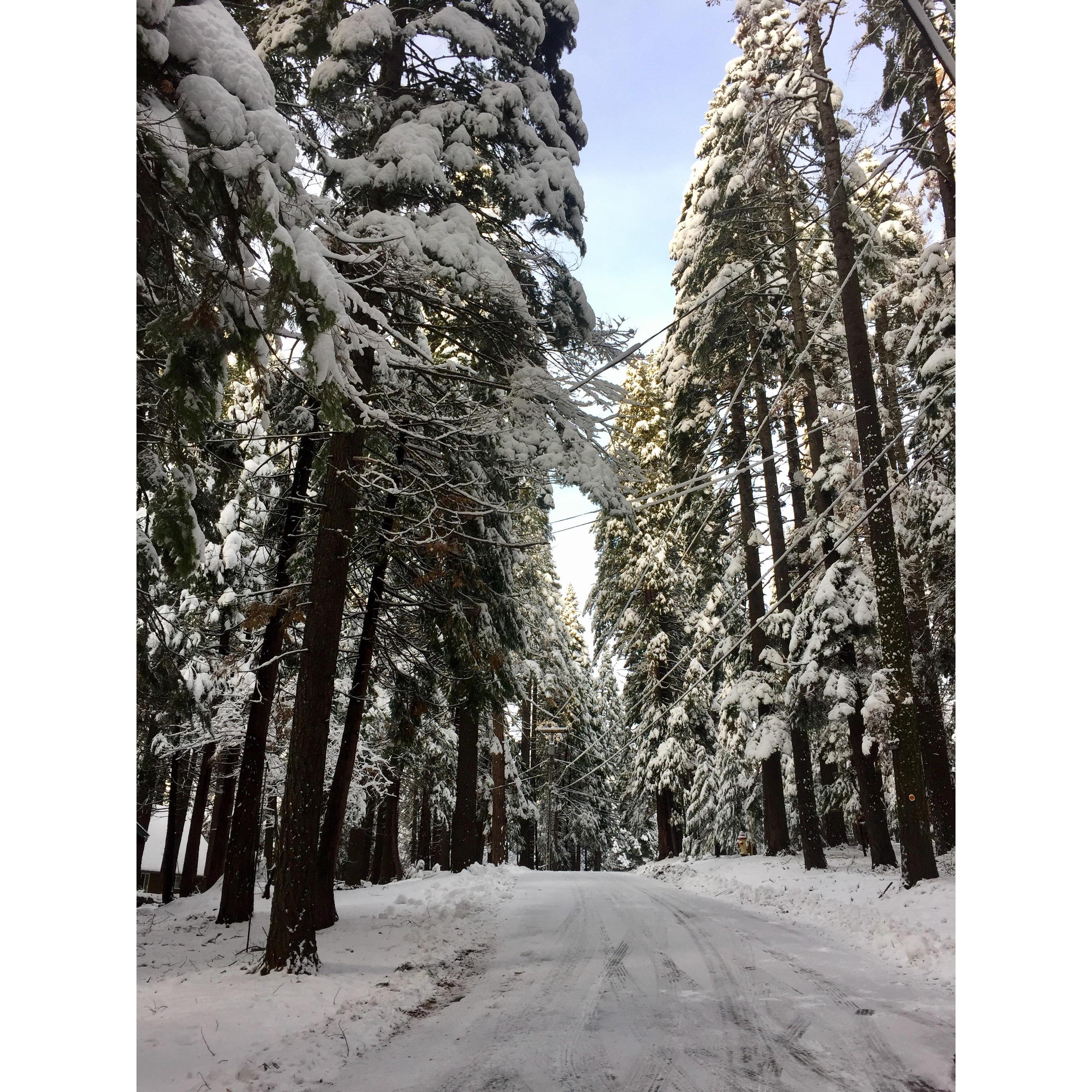 Nate's first Bear Valley trip