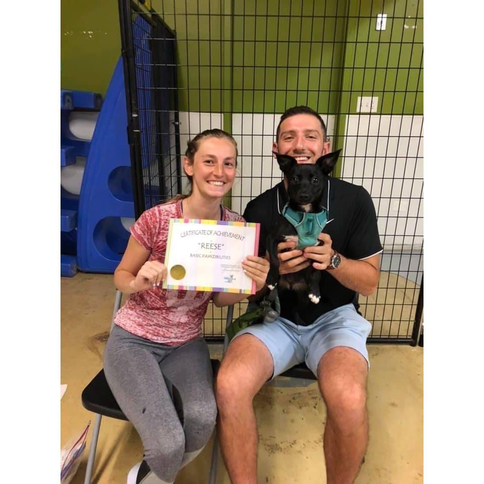 Reese graduated from puppy classes.