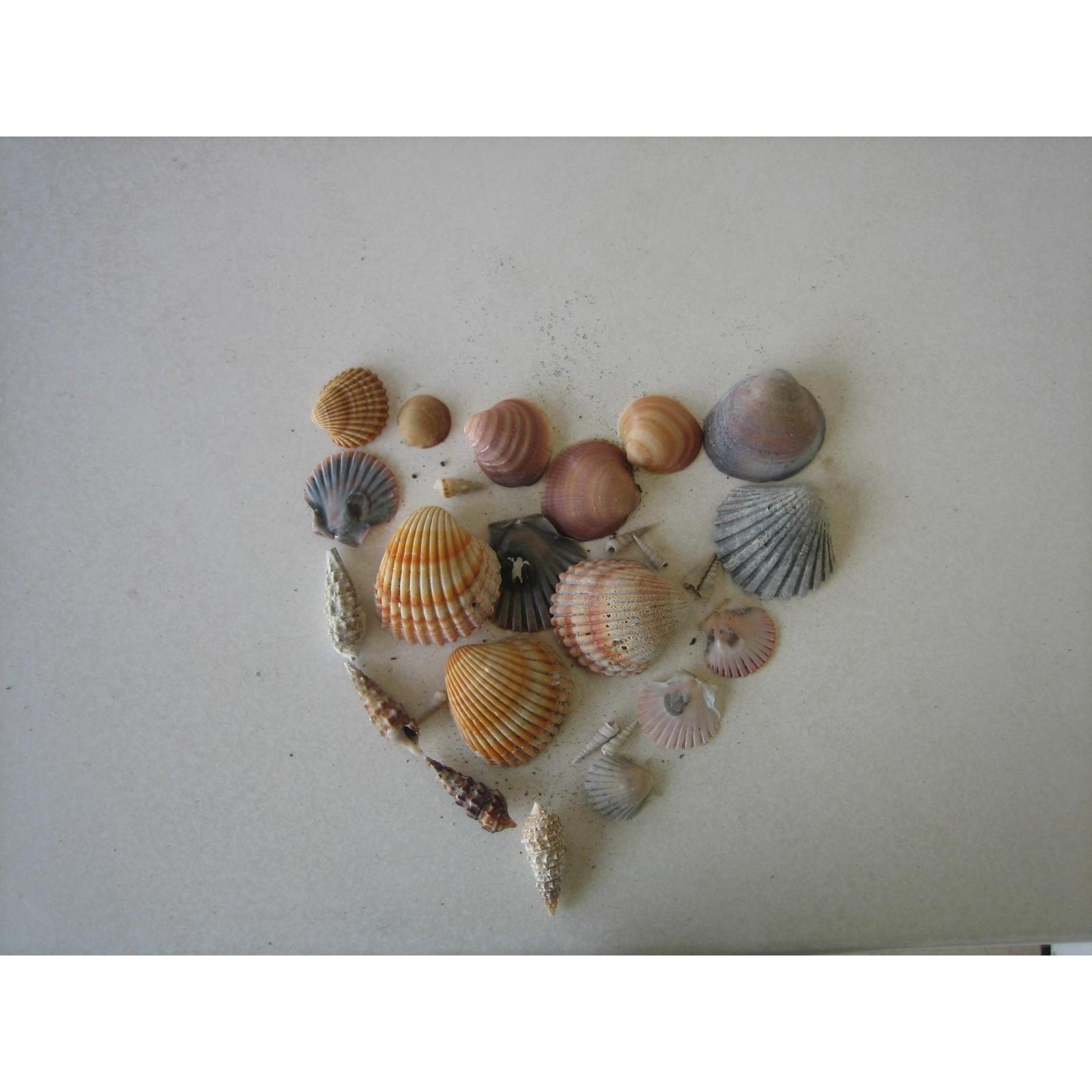 This heart was made of sea shells collected from the beach of Fondi in Italy on the day Eleonora was conceived. Fondi, 5.5.2007