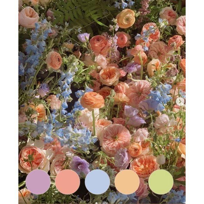 color pallet example