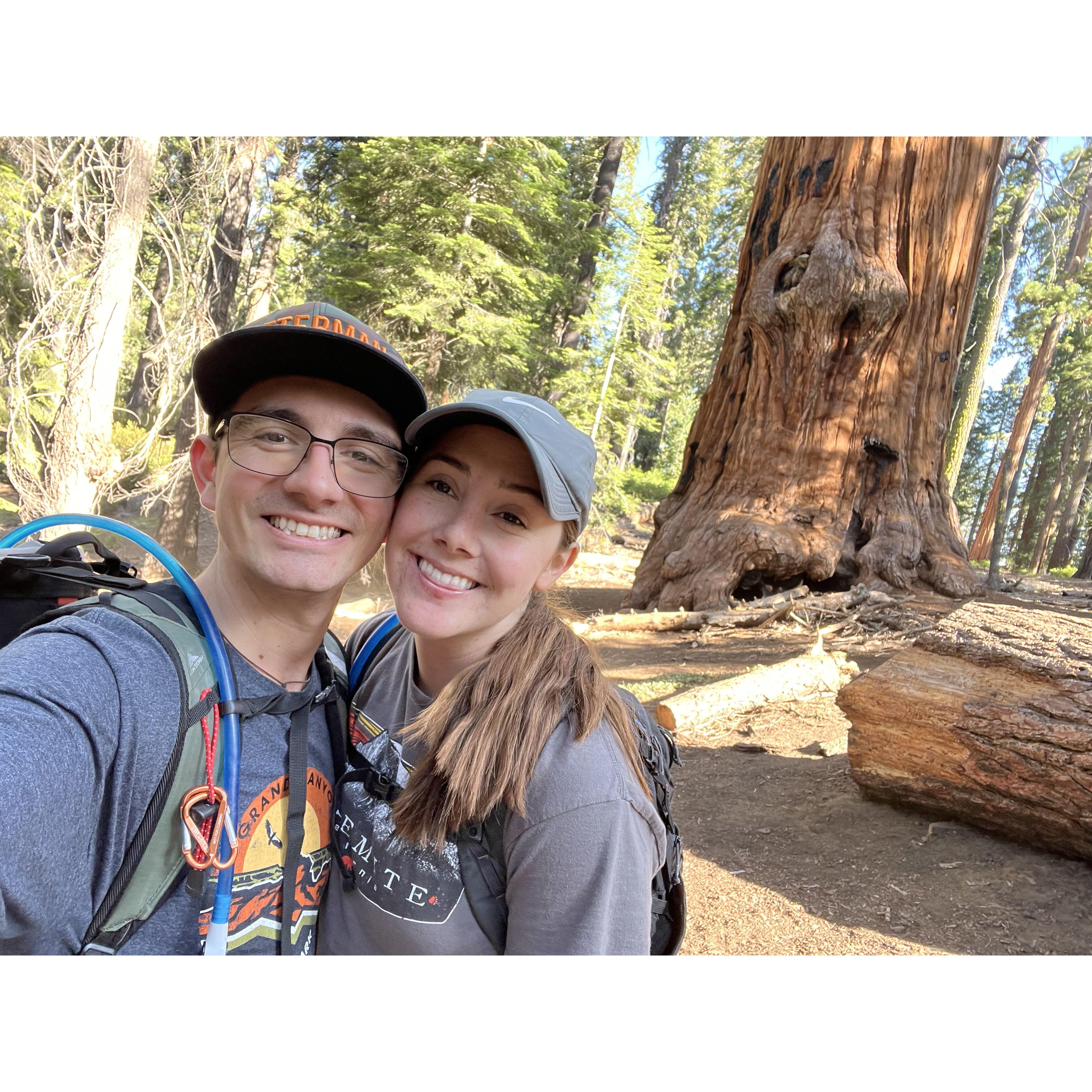 Sequoia National Park