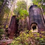 Pfeiffer Big Sur State Park