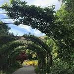 Red Butte Garden