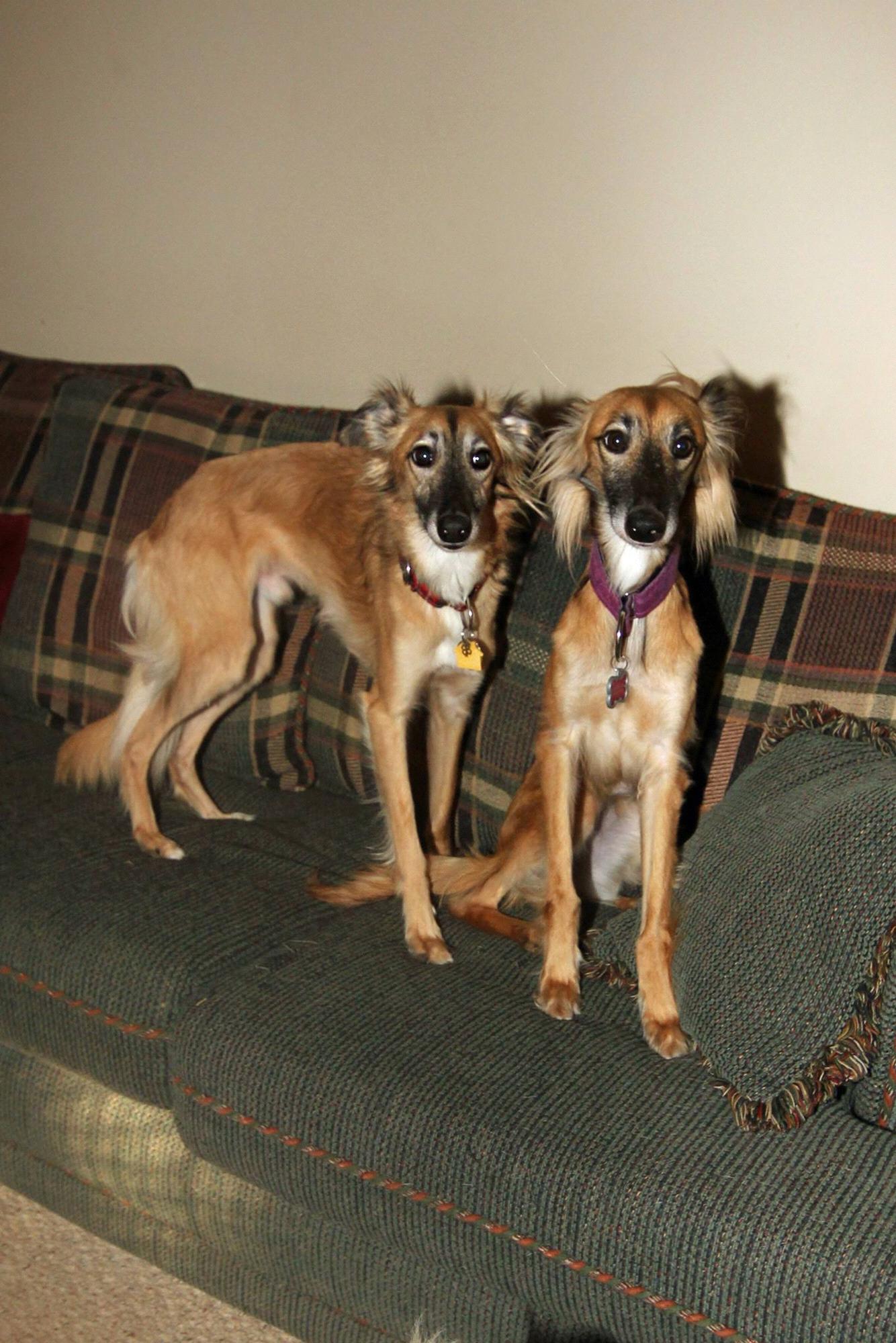 Anderson (Baby Boy) and Hazel