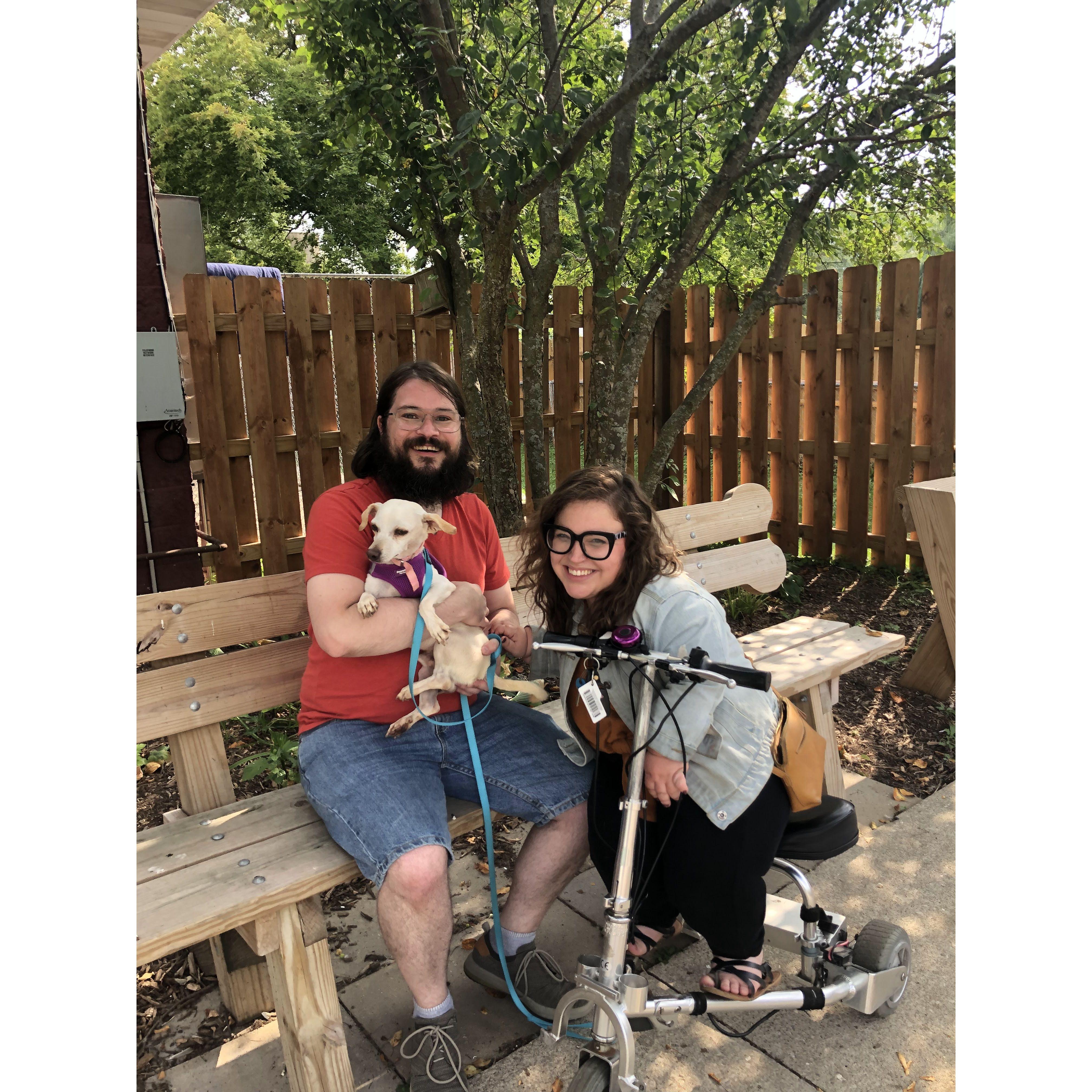 The day we adopted Henry from Animal House Shelter