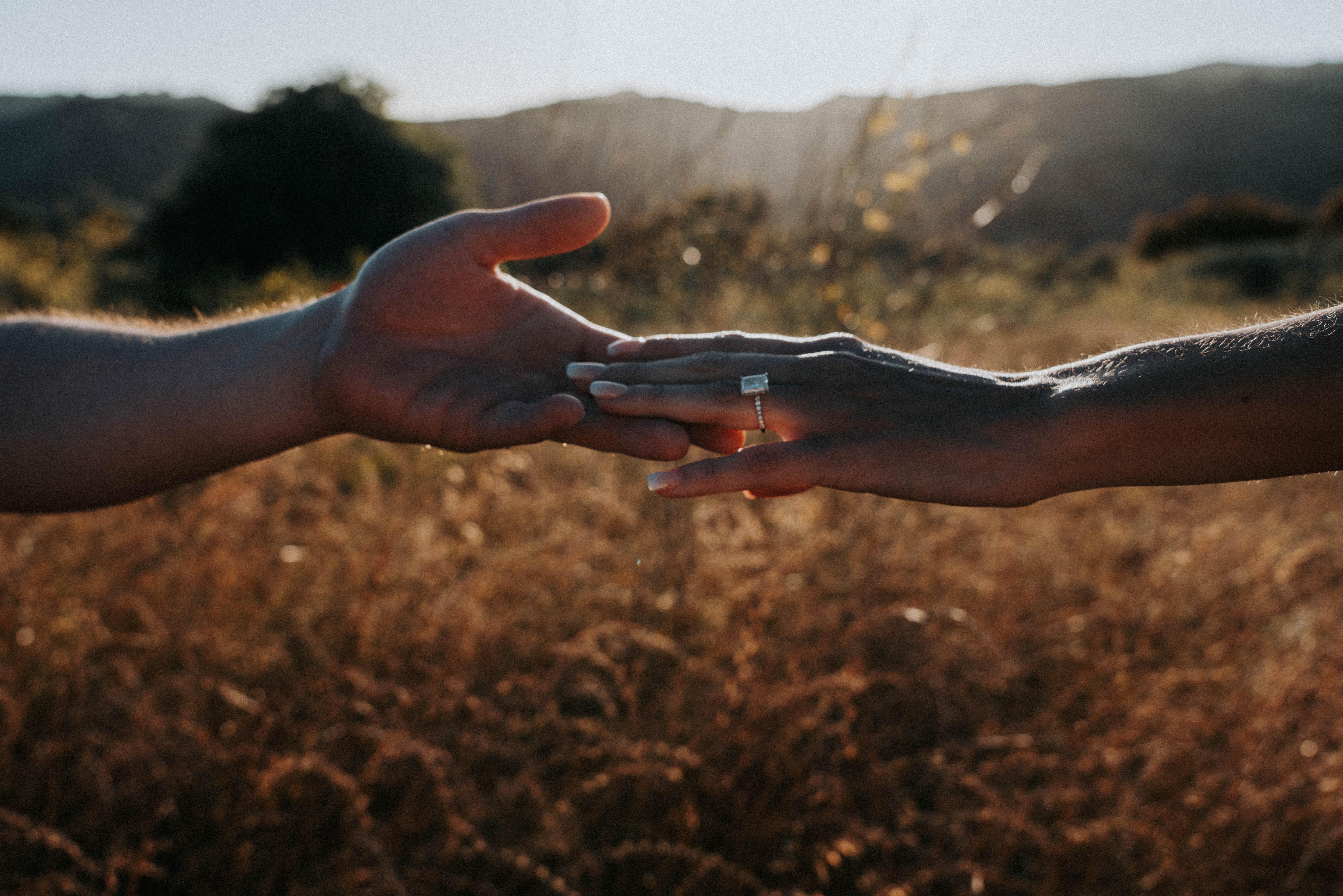 The Wedding Website of Lauren West and Ryan Rivera