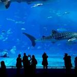National Aquarium