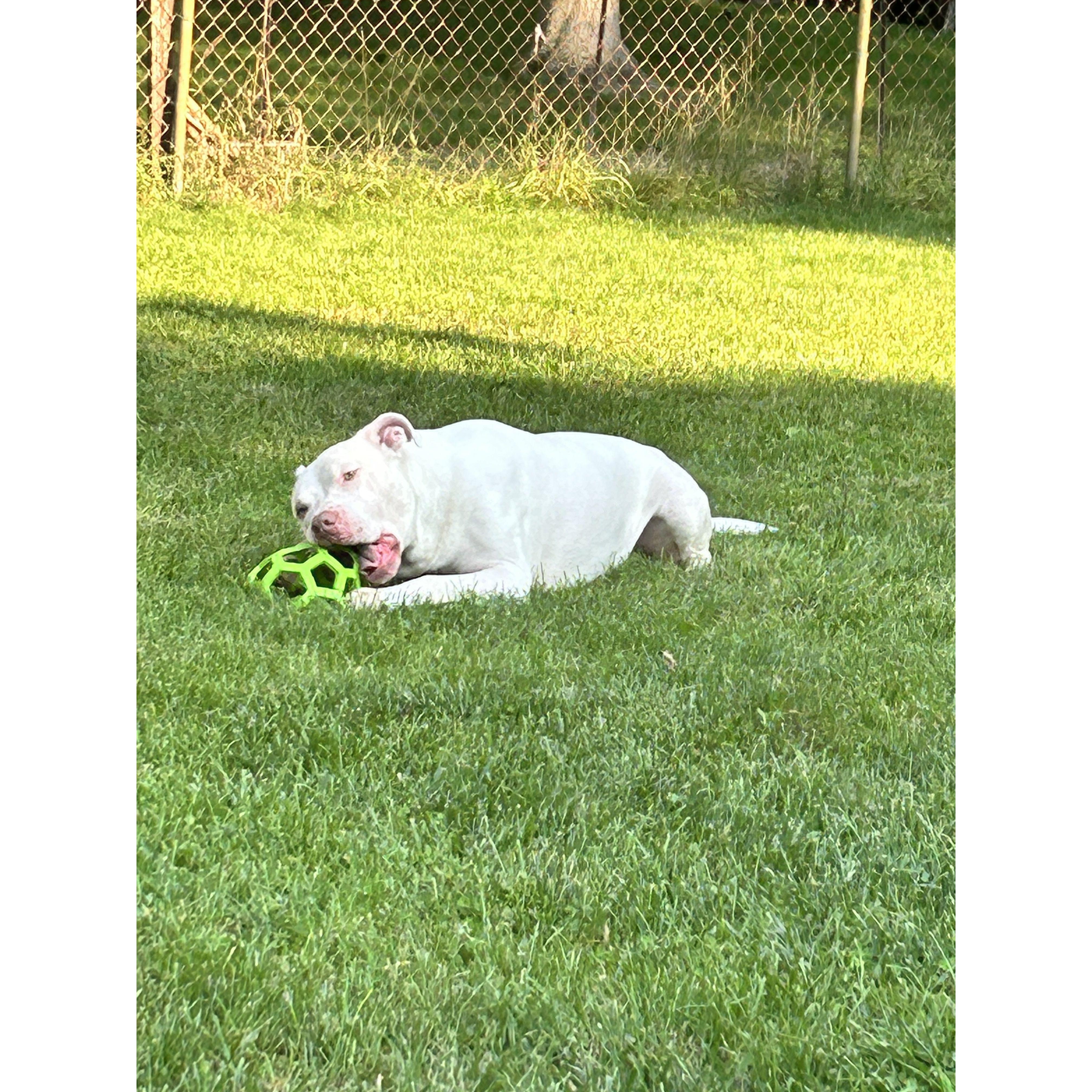 Zero enjoying summer