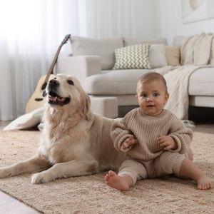 Place Your Bet! Puppy or Baby first?