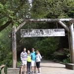 Muir Woods