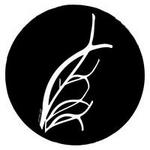 5 Fifty Five Vineyard & Winery