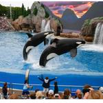 SeaWorld San Diego