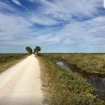 Blackpoint Wildlife Drive