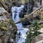 Browns Creek Trailhead