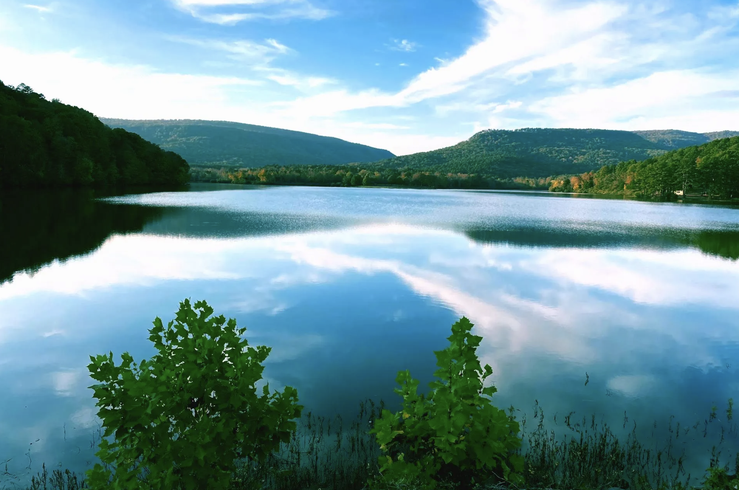 The Wedding Website of Bobby Banister and Sydney Easton