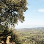GUIDED HIKE