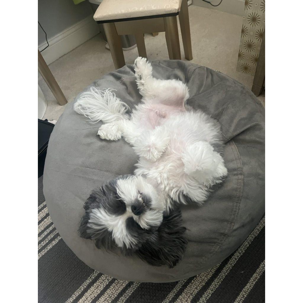 Prince Leo