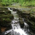 Shoal Creek Preserve