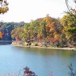 Paris Landing State Park