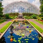 Missouri Botanical Garden