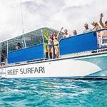 Ocean Surfari - Reef Surfari Snorkel Excursions