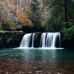 Sycamore Falls