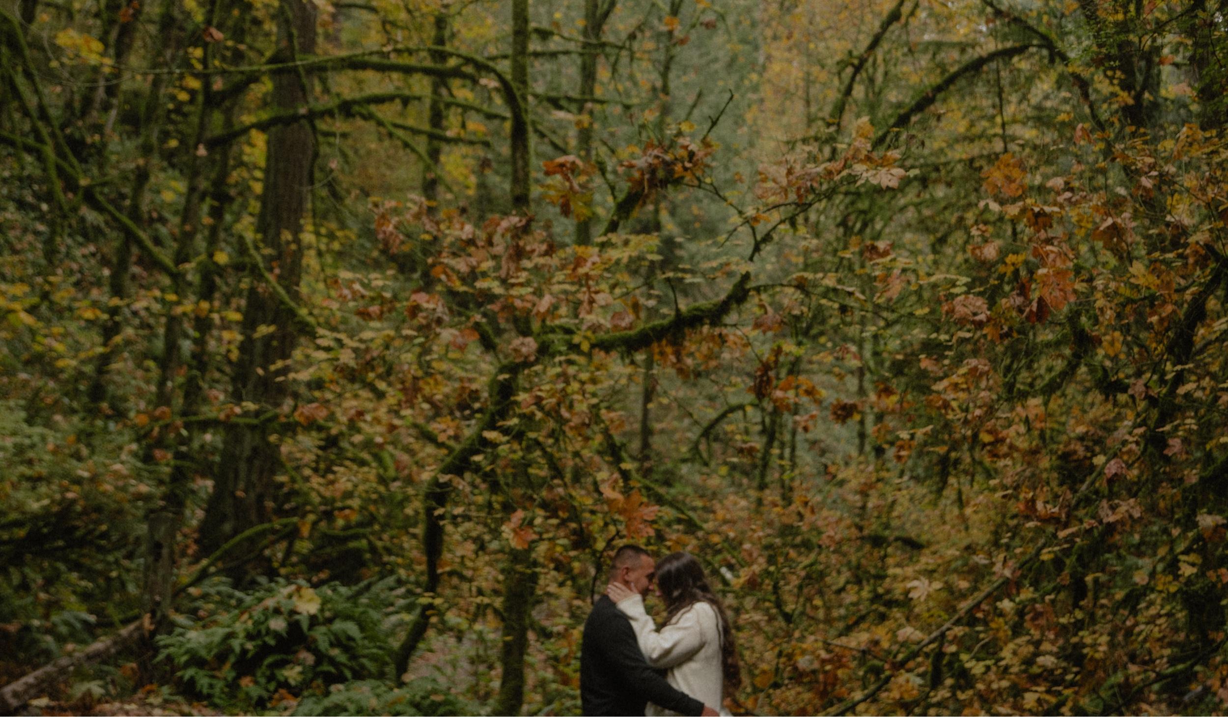 Footer image