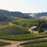 Paso Robles Wine Country