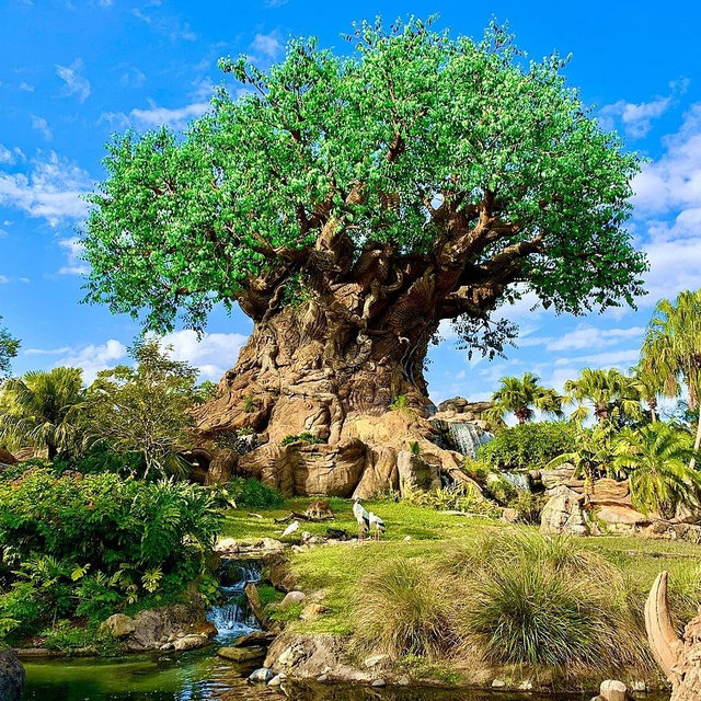 🌍 Wild Day at Animal Kingdom