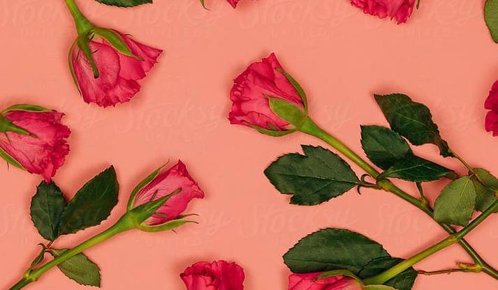 The Wedding Website of Lily Thornington and Byron Norris