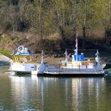 Buena Vista Ferry