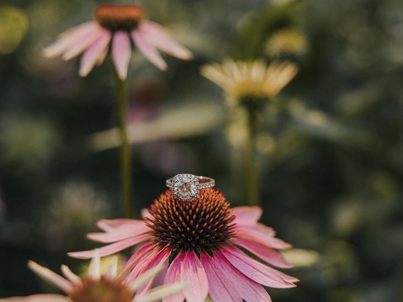 The Wedding Website of Jenny Tesone and Juan Urena