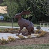 Swamp Rabbit Trail