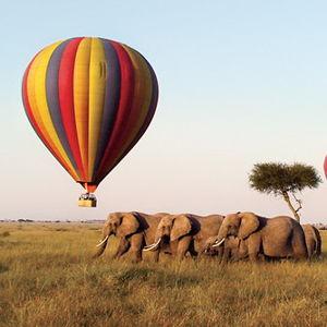 African Safari Honeymoon
