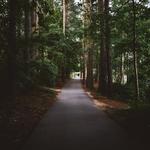 Jetton Park