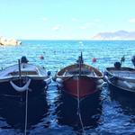 Boat Tour of Cinque Terre