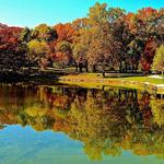 Herrick Lake Forest reserve
