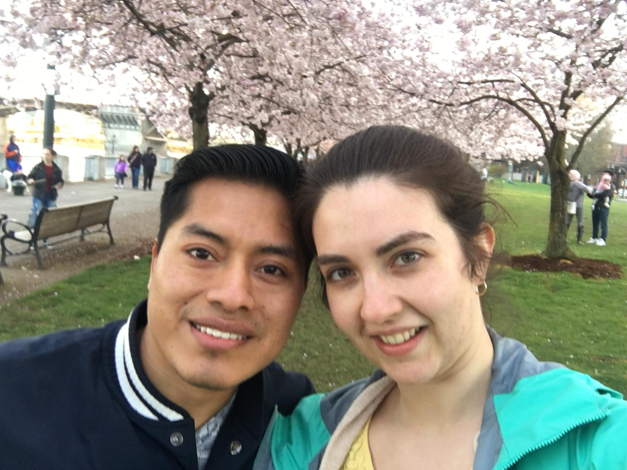 Japanese Cherry Blossoms at Portland's waterfront