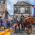 Traditional cheese market in Gouda