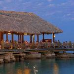 Unlimited dining at 16 restaurants