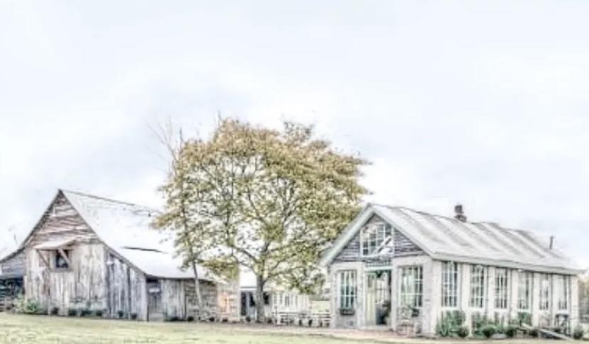 The Wedding Website of Eva Whitley and Jonathan Cheeseman