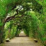 Boboli Gardens
