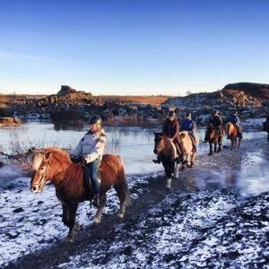 Icelandic Horseback Riding On Honeymoon!