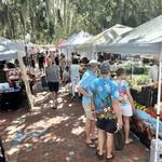Mount Dora Village Market