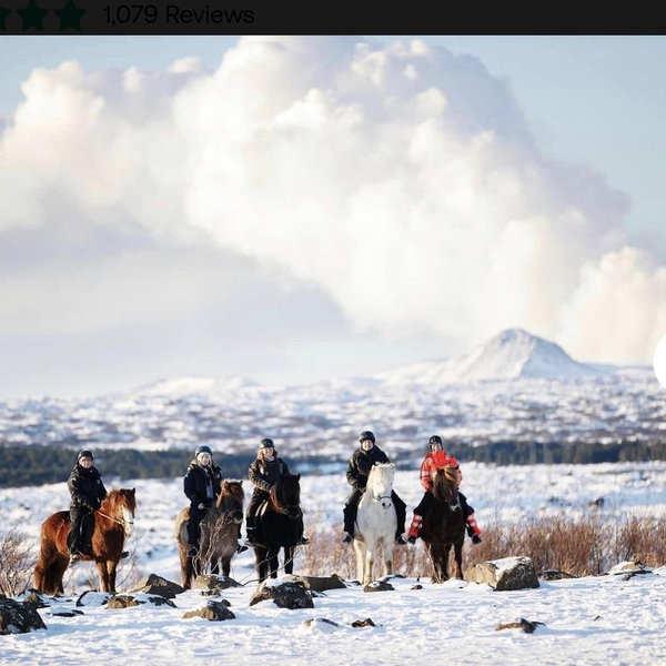 Horseback Riding in Iceland