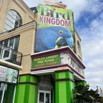 Bird Kingdom